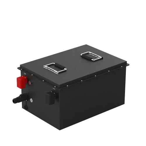 48V100Ah_Golf-Cart-battery-_Sightseeing-Vehicle-Battery