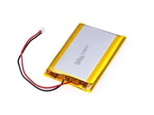 Electrolyte Type & Shape (Packaging Material)